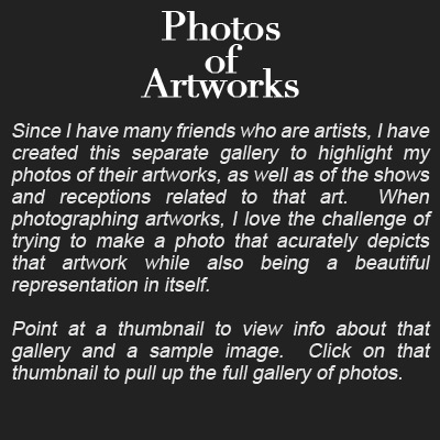 gallery description